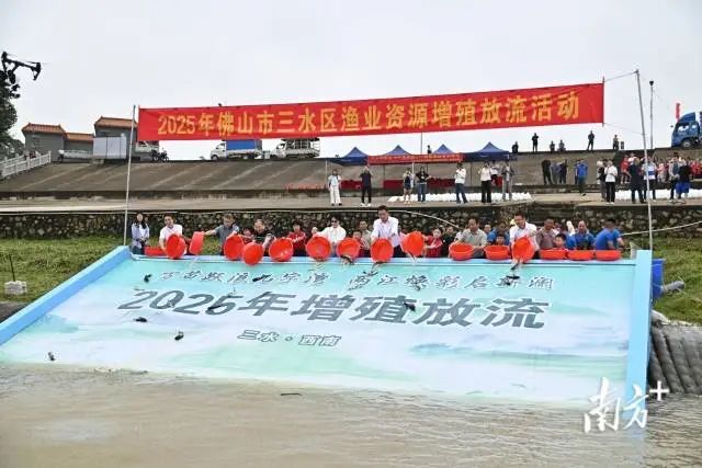 百万尾鱼苗畅跃“几字湾”。